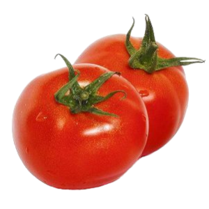 Pomodori